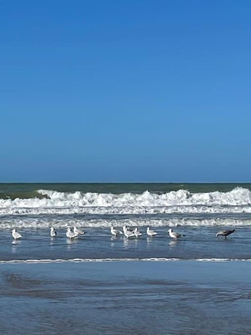 Charmante Maison Individuelle Proche Du Touquet Cucq Dış mekan fotoğraf