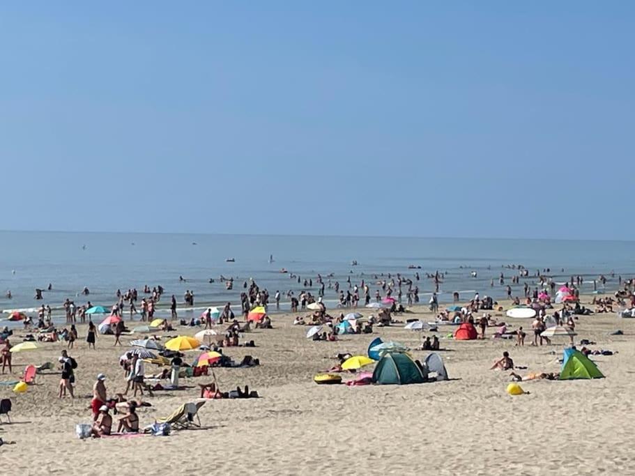 Charmante Maison Individuelle Proche Du Touquet Cucq Dış mekan fotoğraf